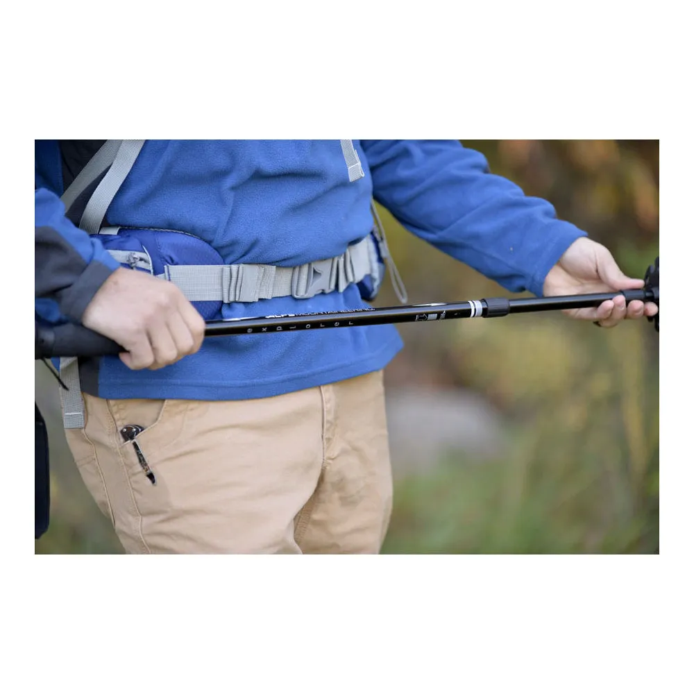 Baston ALPS Mountaineering (Explorer Trekking Pole)