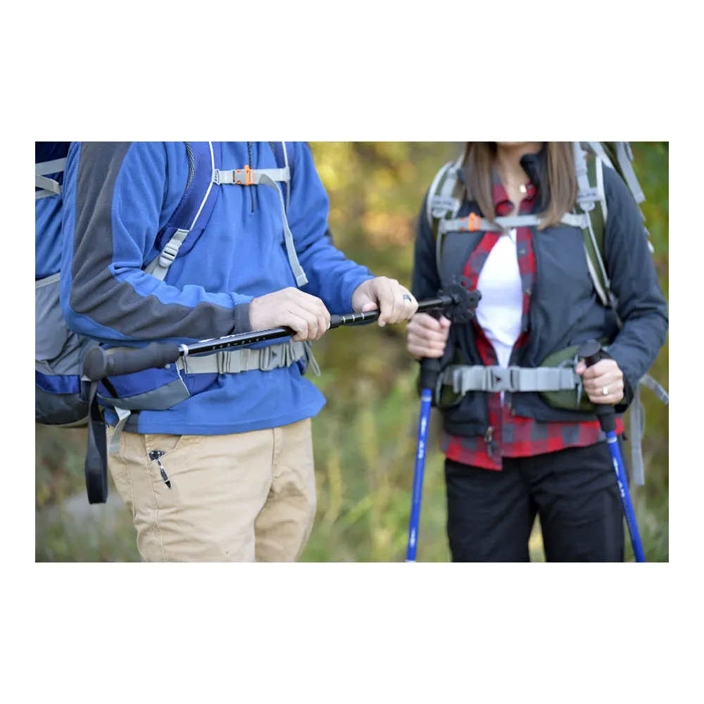 Baston ALPS Mountaineering (Explorer Trekking Pole)
