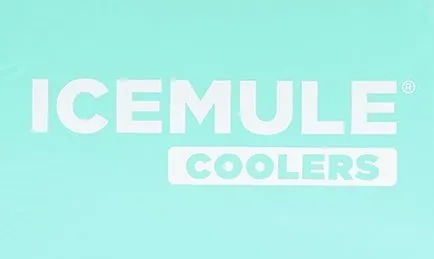 IceMule Classic Insulated Backpack Cooler Bag - Hands-Free, Collapsible, and Waterproof, This Portable Cooler is an Ideal Sling Backpack for Hiking, The Beach, Picnics and Camping-Small, Seafoam