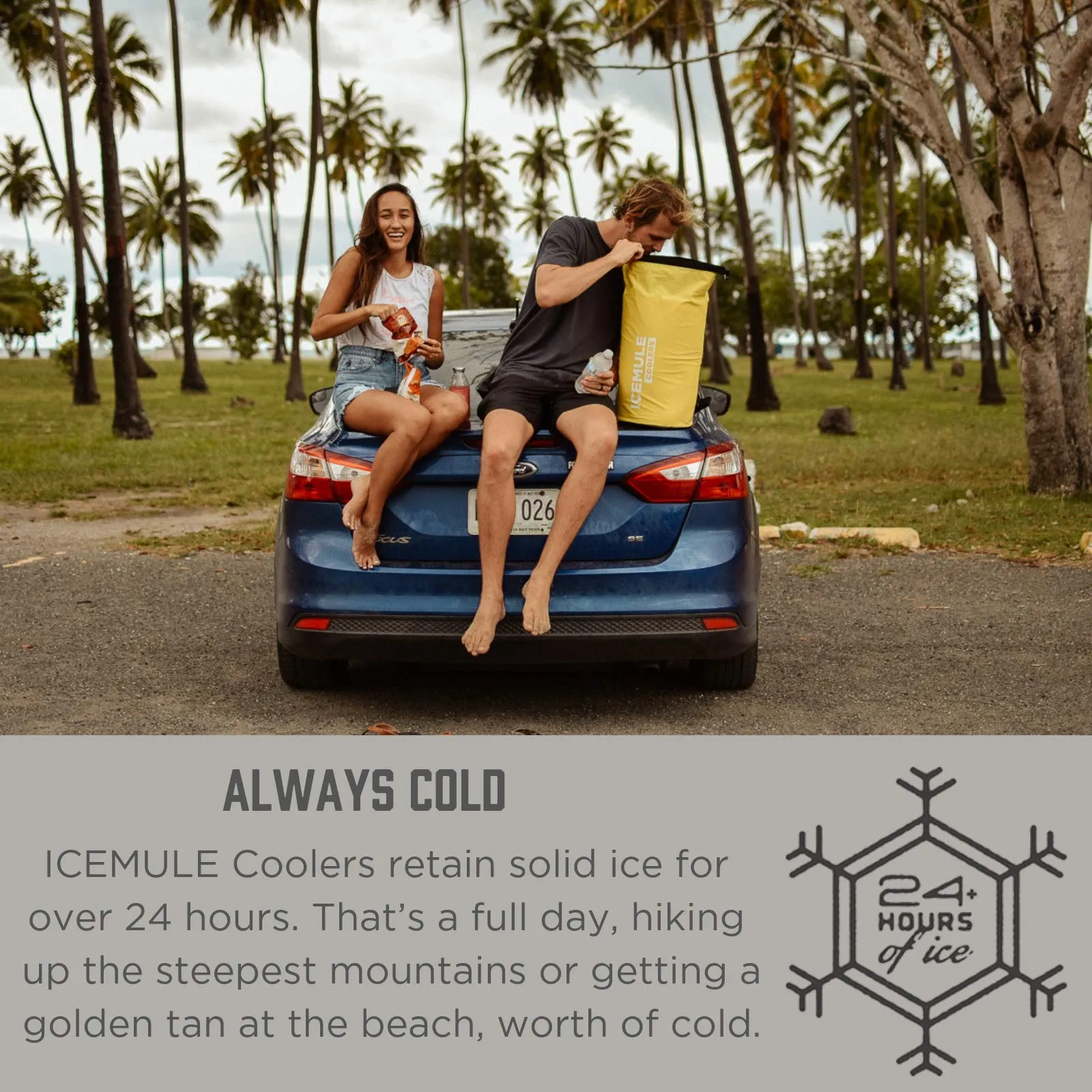 IceMule Classic Insulated Backpack Cooler Bag - Hands-Free, Collapsible, and Waterproof, This Portable Cooler is an Ideal Sling Backpack for Hiking, The Beach, Picnics and Camping-Small, Sunshine