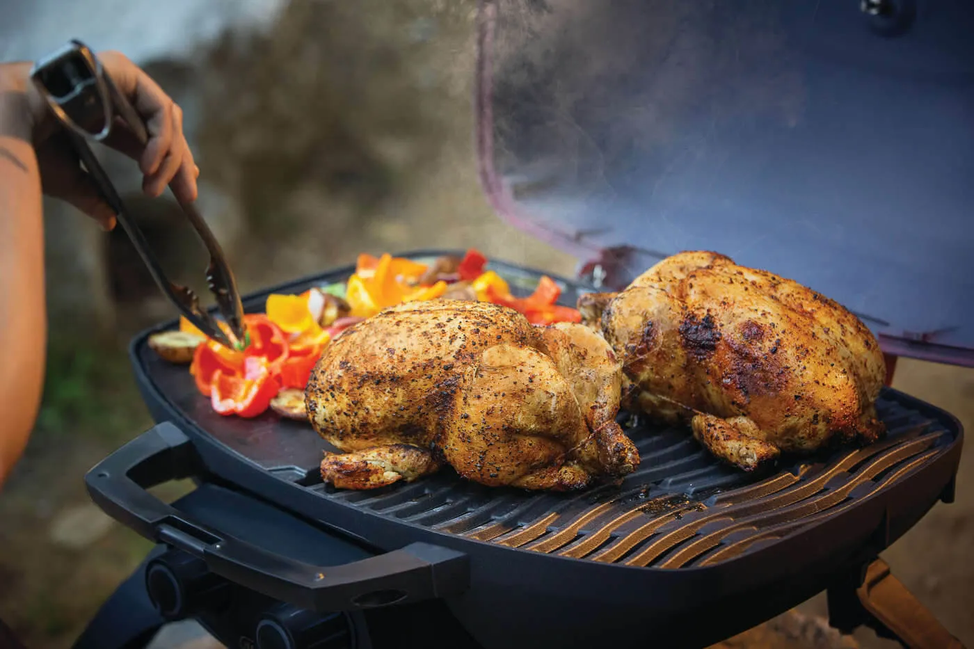 TravelQ™ 285 with Griddle By Napoleon