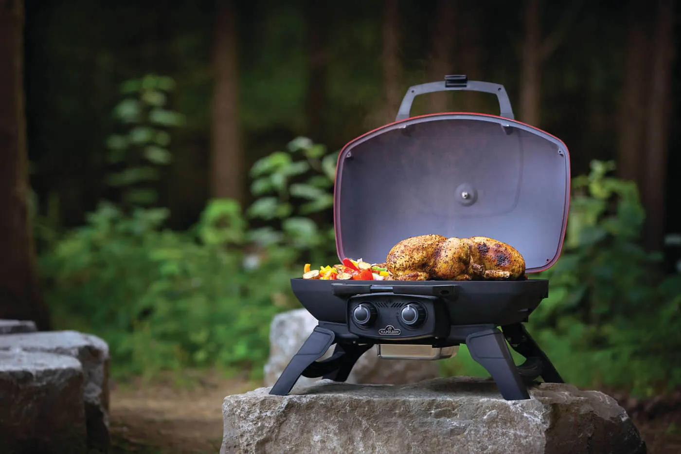 TravelQ™ 285 with Griddle By Napoleon